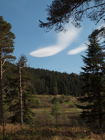 20110501-Sandaig-Q5010481