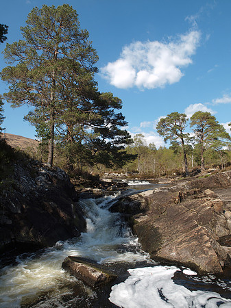 20110502-Glen Affric-Q5020506