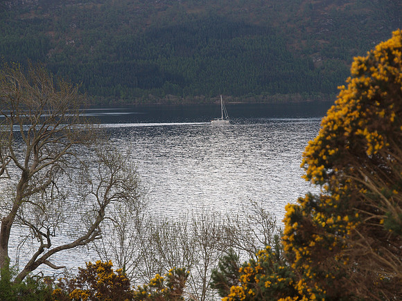 20110507-Drumnadrochit-Q5070597