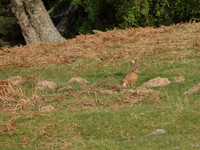 20110504-DHivach-Q5040554