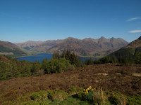 20110501-Sandaig-Q5010495