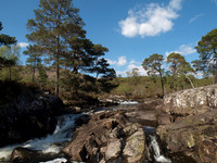 20110502-Glen Affric-Q5020508