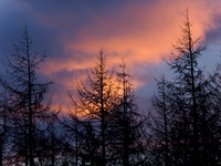 Sunrise Colour