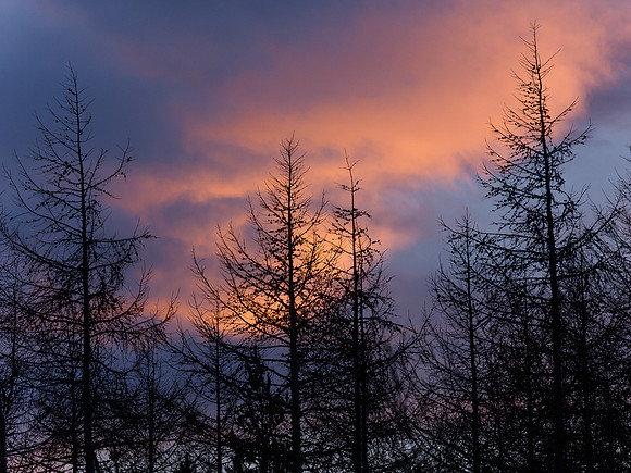 Sunrise Colour