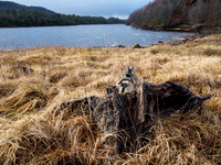 Loch Beinn a Mheadhoin 2