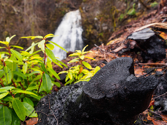 Home or Guisachan Falls 3