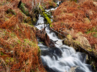 Glen Affric Waterfall 2