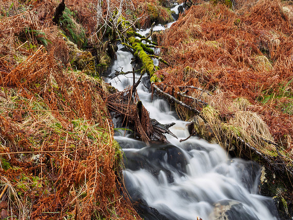 Glen Affric Waterfall 2