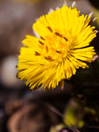 A splash of Colour