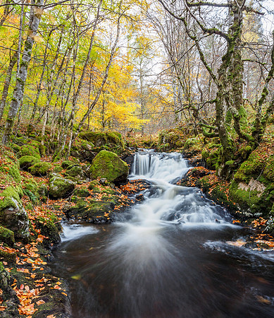 Autumnal Eskadale Burn (6) [1810058]