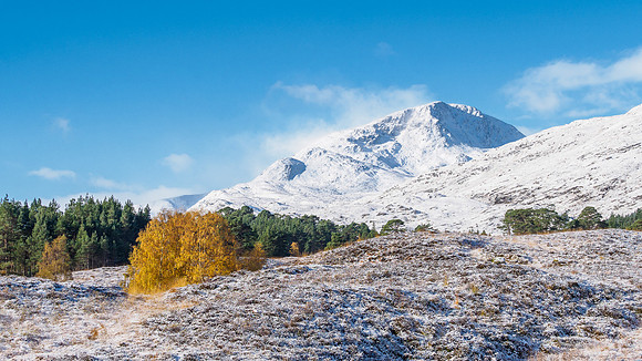 Glen Affric (4) [1810075]