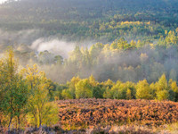 Layers and Light [1810005]