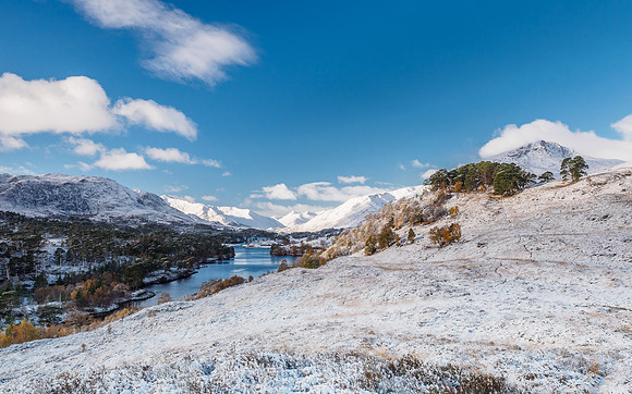 Glen Affric (3) [1810074]