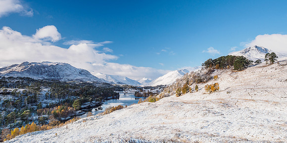 Glen Affric (2) [1810073]
