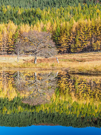 Loch Craskie (3) [1810078]