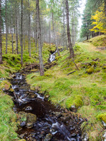 Strathconon Stream [1810010]