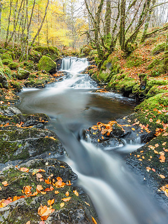 Autumnal Eskadale Burn (5) [1810057]