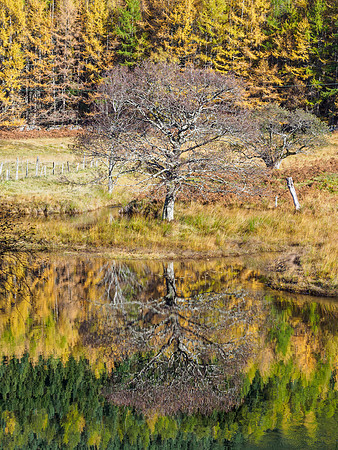 Loch Craskie (2) [1810077]
