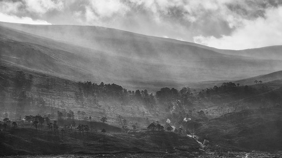 Rays and Rain (1) [1810063]