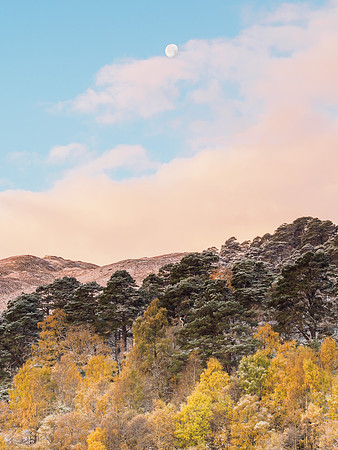 Layers of Colour [1810069]