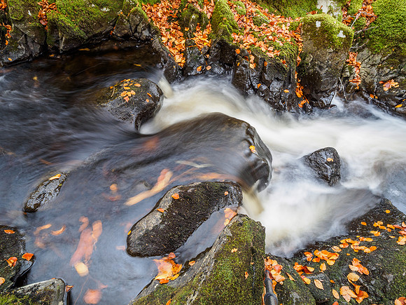 Autumnal Eskadale Burn (4) [1810056]