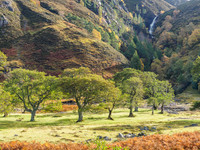 Allt Ghleadhraich Falls (2) [1810020]