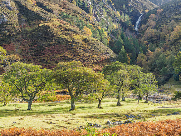 Allt Ghleadhraich Falls (2) [1810020]