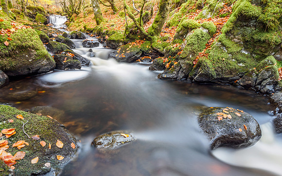 Autumnal Eskadale Burn (21) [1810054]