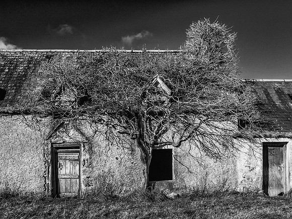 Wester Crochail Farmhouse (3) [1810047]