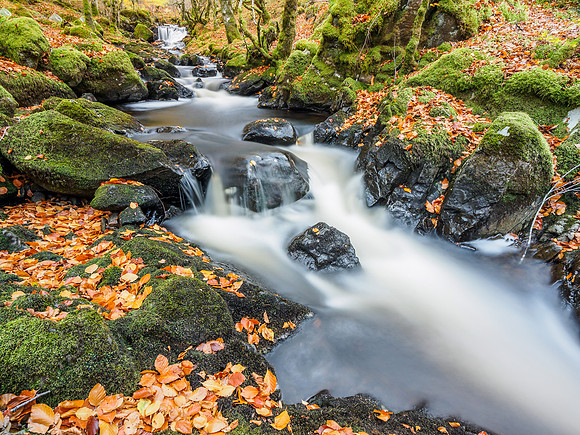 Autumnal Eskadale Burn (1) [1810053]