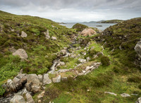 Norse Mill 5