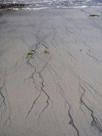 Beach Pattern