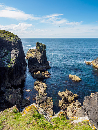 Butt of Lewis 6