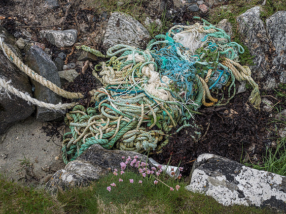Tangled Rope