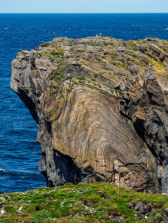 Butt of Lewis 4