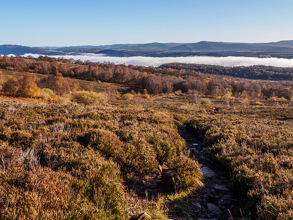 Cloud/Temperature Inversion 1