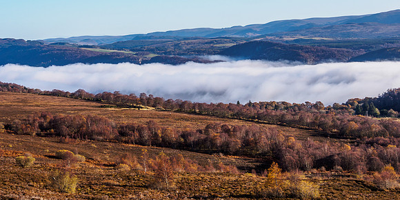 Cloud/Temperature Inversion 3