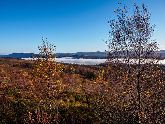 Cloud/Temperature Inversion 2