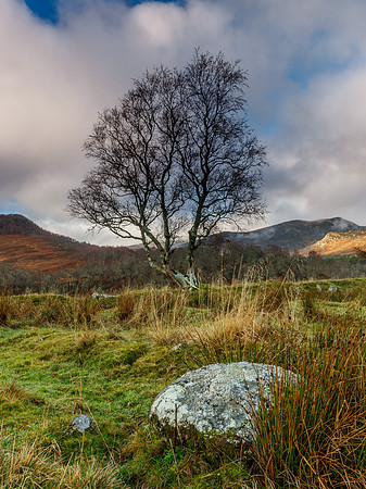 Above Newtonmore 1