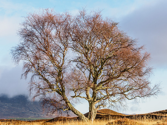 Above Newtonmore 2