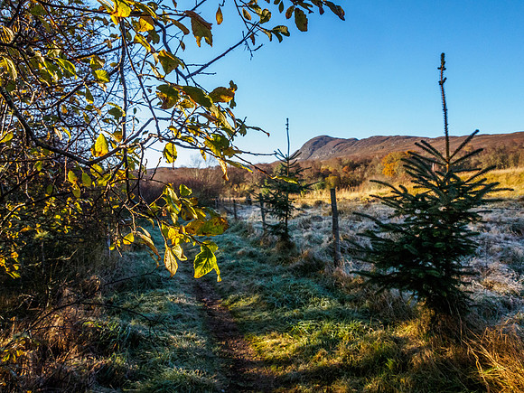 Meall Fuar-Mhonaidh From Grotaig 2