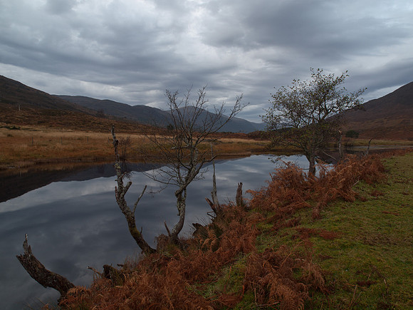 20111113-Glen Cannich-QB135033