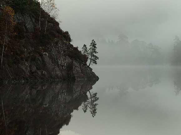 20111106-Glen Affric-PB062724