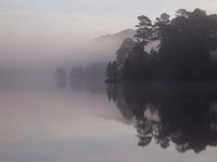20111106-Glen Affric-QB064838