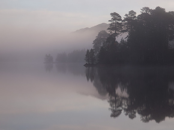 20111106-Glen Affric-QB064838