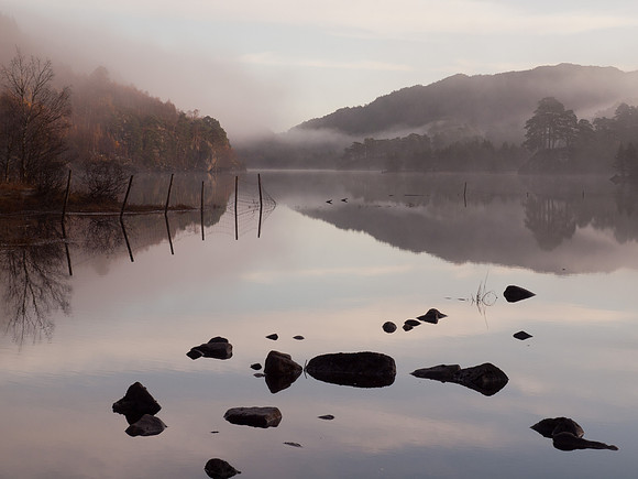 20111106-Glen Affric-QB064873