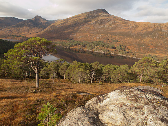 20111106-Glen Affric-QB064966