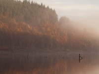 20111106-Glen Affric-QB064837