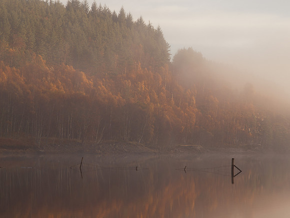 20111106-Glen Affric-QB064837