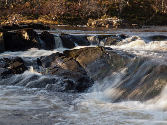 20111106-Glen Affric-QB064990
